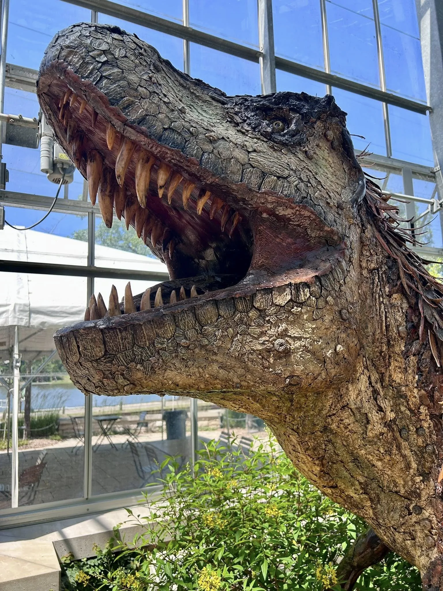 Dinosaurs — Nicholas Conservatory & Gardens